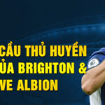 Những cầu thủ huyền thoại của brighton hove albion