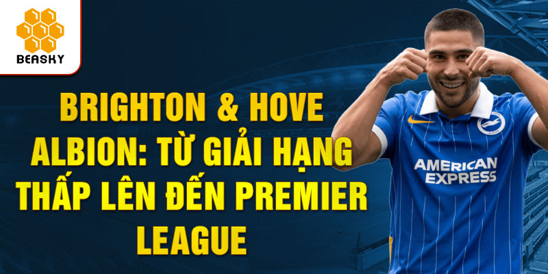 brighton & hove albion: từ giải hạng thấp lên đến premier league