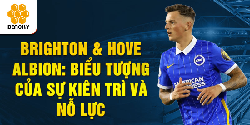 Brighton & hove albion: biểu tượng của sự kiên trì và nỗ lực