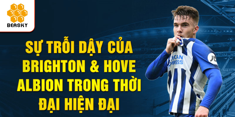 Sự Trỗi dậy của Brighton & Hove Albion trong Thời đại Hiện đại