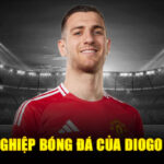 Sự nghiệp bóng đá của diogo dalot