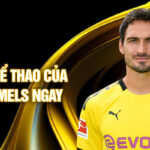 Đam mê thể thao của mats hummels ngay từ nhỏ