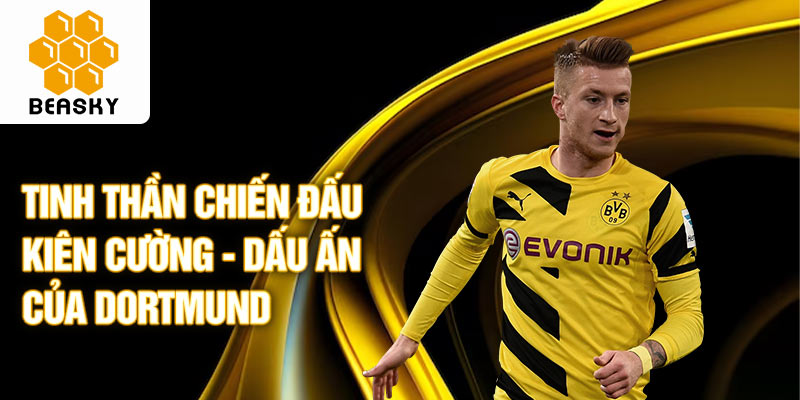 Tinh thần chiến đấu kiên cường - dấu ấn của dortmund